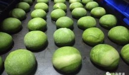 海苔咪大哥爆料原视频,揭秘原视频背后的故事