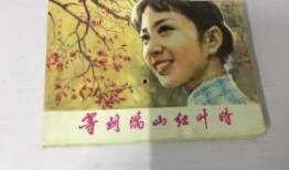 红叶电影在线观看,在线观看，感受秋日浪漫